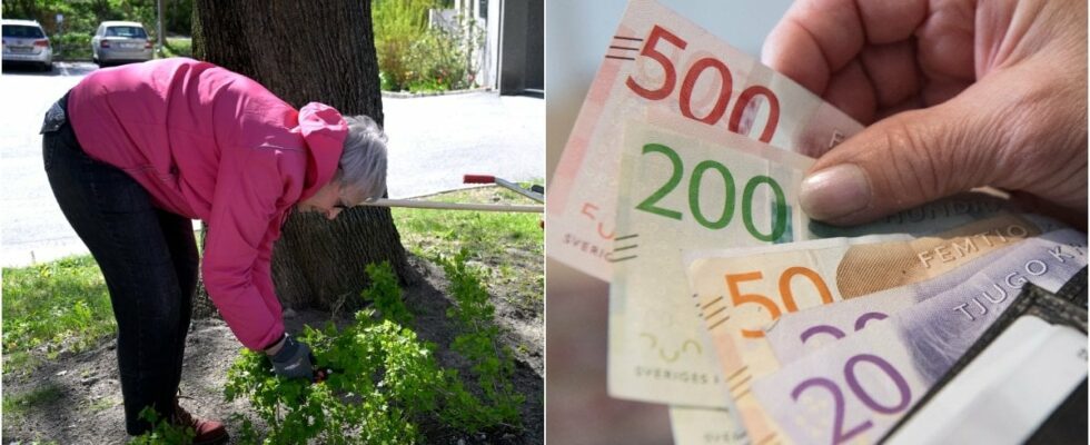 This is how you increase your pension by SEK 6600