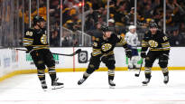 Torontos dark Boston curse continued Czech star Pastrnak as