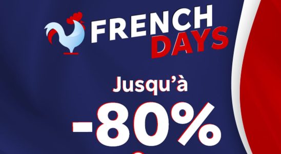 Up to 80 discount for French Days at Rakuten