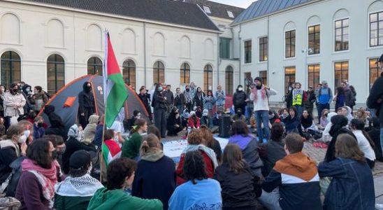 Utrecht University asks demonstrators to leave but they are determined