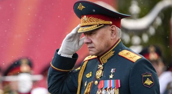 Vladimir Putin fires Defense Minister Sergei Shoigu