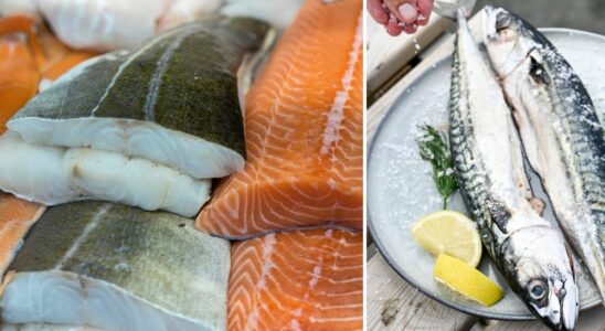 WWF warns about the popular food fish so rarely