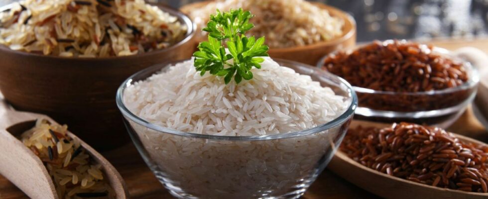 What is the best rice for health Our dietitian nutritionist answers