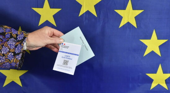 When is the date of the 2024 European elections