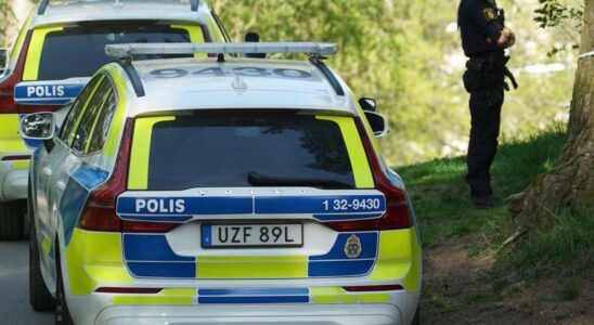 Woman assaulted in Hokarangen in Stockholm man arrested