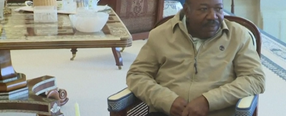 ex president Ali Bongo on hunger strike to protest acts of