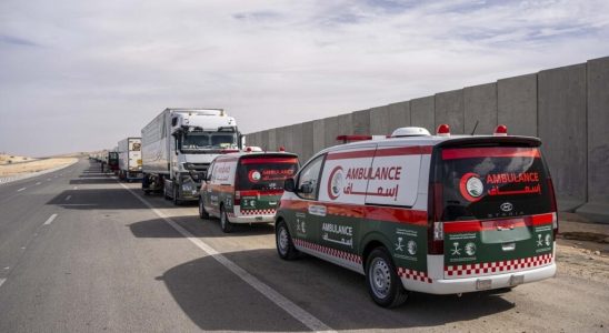 injured children evacuated by Abu Dhabi from the hell of