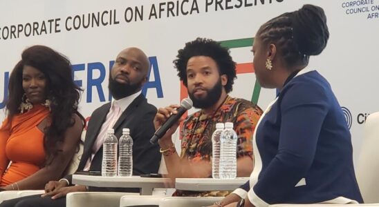 the diaspora Africas essential asset