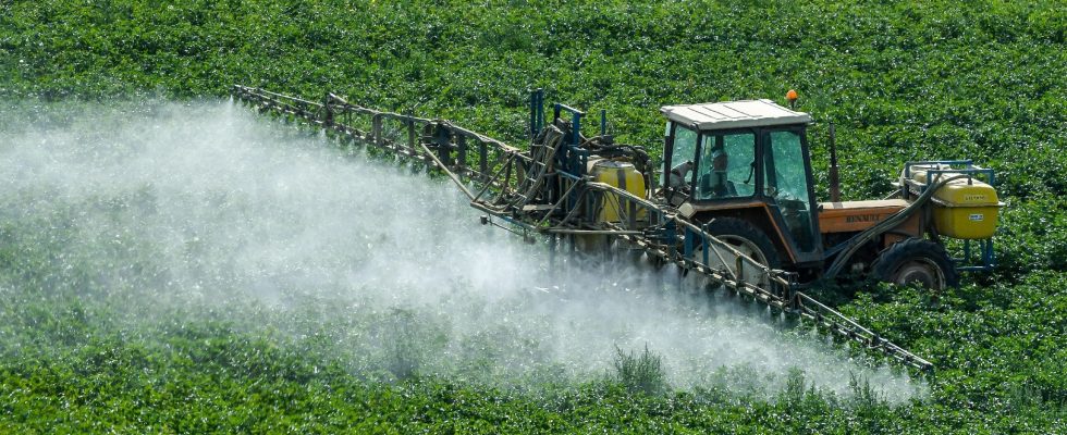 the governments controversial plan to reduce pesticides – LExpress