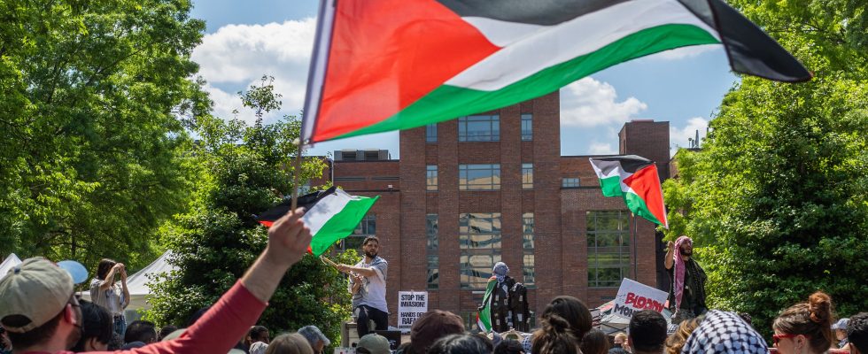 the mobilization of pro Palestinian students around the world country by