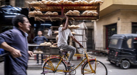 the price of subsidized bread multiplied by four