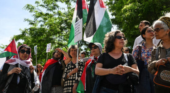 thousands of angry pro Palestinians gathered in Paris