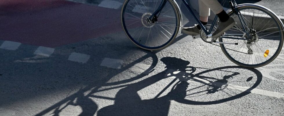 A man cycled with a dead puppy in tow behind