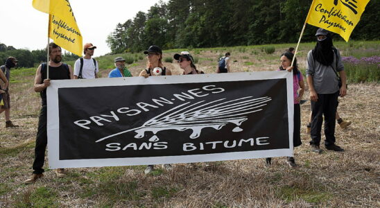 A69 project several thousand activists gathered in Tarn a gendarme