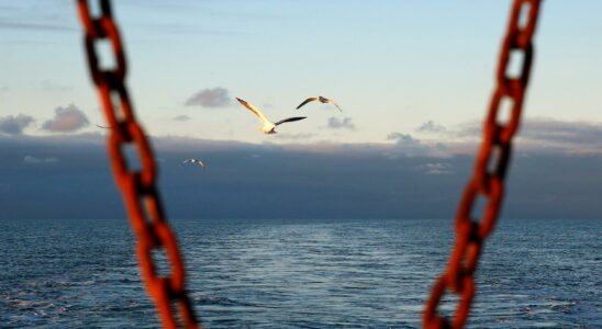 About 80 migrants rescued in the English Channel