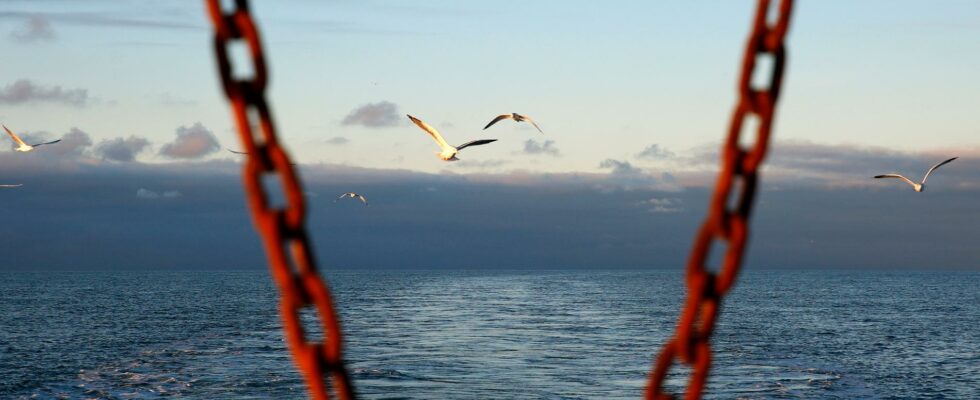 About 80 migrants rescued in the English Channel