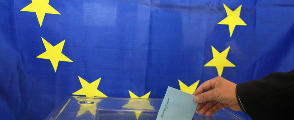 Abstention votes cast non registered The vocabulary of the 2024 European