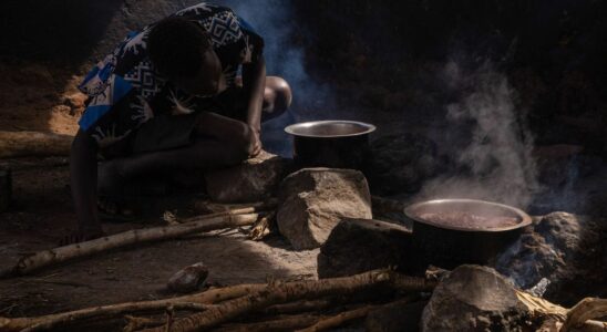 An unprecedented summit to put an end to harmful cooking