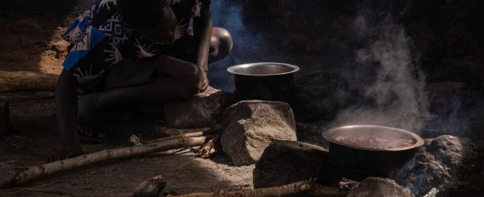 An unprecedented summit to put an end to harmful cooking