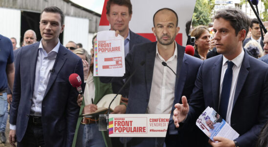 Anticipated legislative elections in France the battle of programs