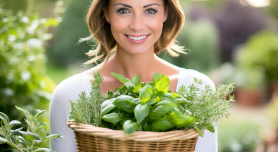 Antioxidant this aromatic herb prevents aging from the inside very