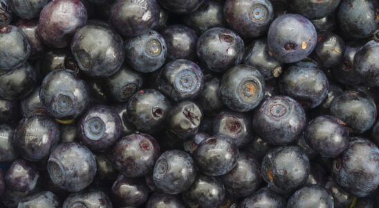 Are blueberries more blue or purple This illusion is disturbing