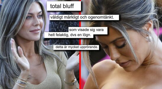 Bianca Ingrosso reported after the scandalous collaboration Total scam