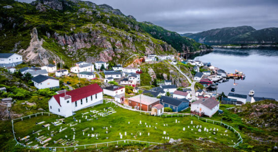 Canada allows cod fishing to reopen on Newfoundland island