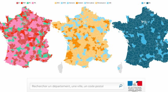 Candidates for the 2024 legislative elections details by party in