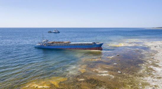 Dead person found on beach washed up from sea