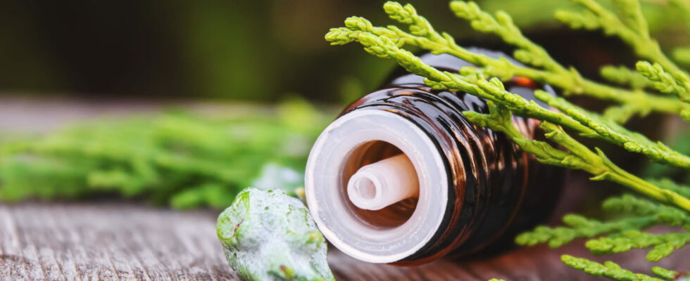 Draining and diuretic here is the best essential oil against