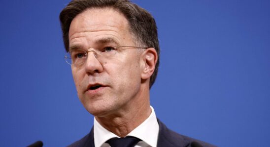 Dutch Prime Minister Mark Rutte appointed to head the Alliance