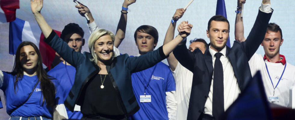 European elections anti macronism main fuel of the National Rally