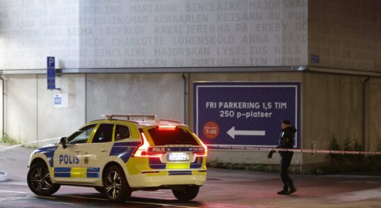 Famous artist shot to death in garage in Gothenburg