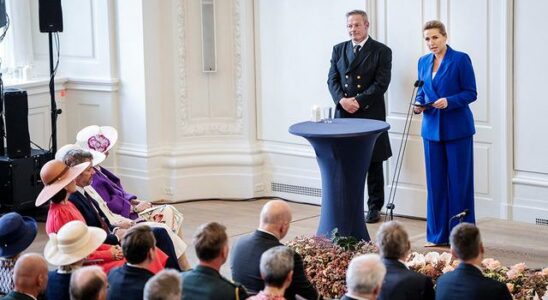 Fist attack on Danish Prime Minister Frederiksen in Copenhagen