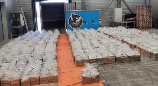 Germany announces record seizure of 355 tonnes of cocaine