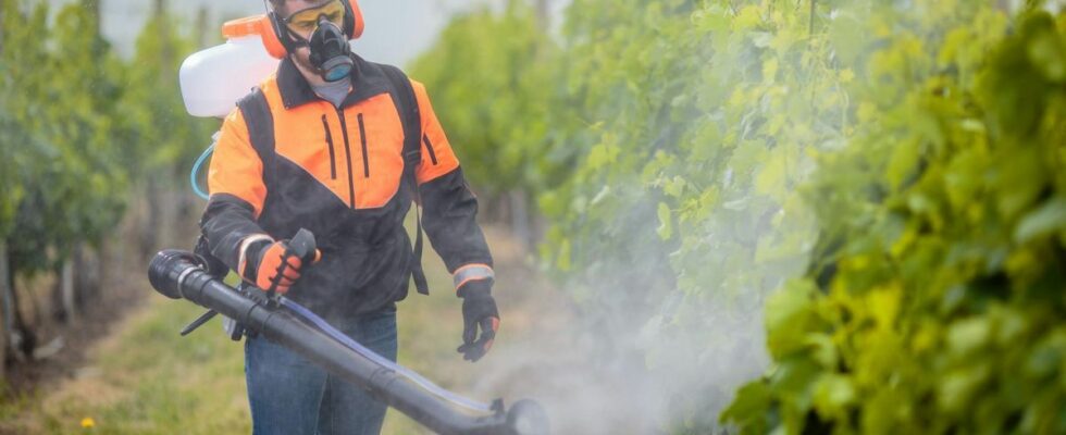 Glyphosate controversial health effects