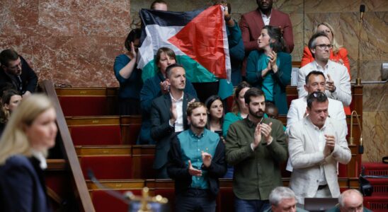 Hamas LFI MP Rachel Keke brandishes a Palestinian flag in