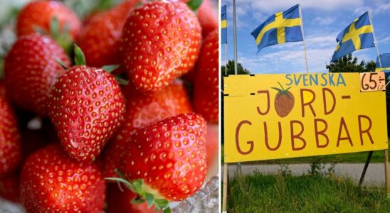 How do you know that the strawberries are Swedish