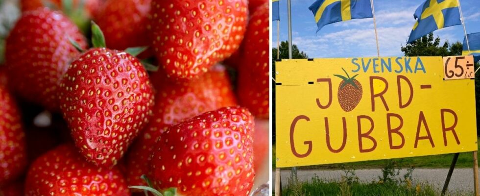 How do you know that the strawberries are Swedish