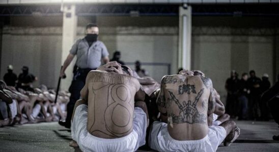 Images that shocked the world Gang members are being transferred