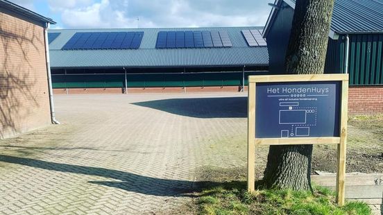 Investigation into ten dead dogs in Woudenberg boarding house is