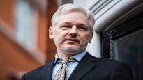 Julian Assange could be freed this week News in