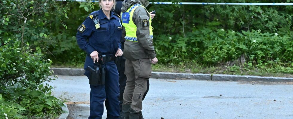 Police fired warning shots big effort in Stockholm