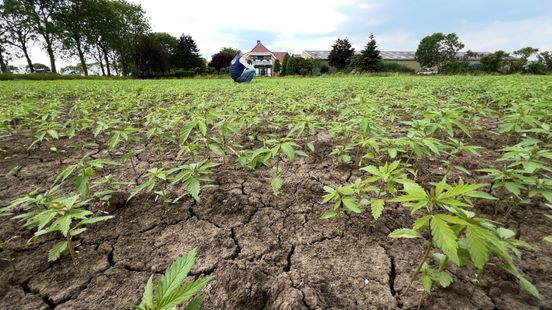 Province has unique approach to achieve climate goals Measuring is