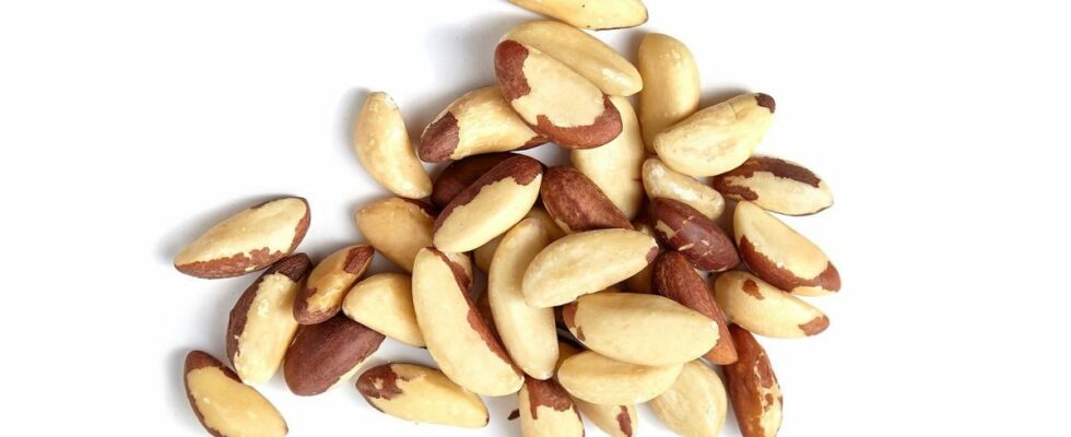 Recall of Brazil nuts contaminated with carcinogenic toxins