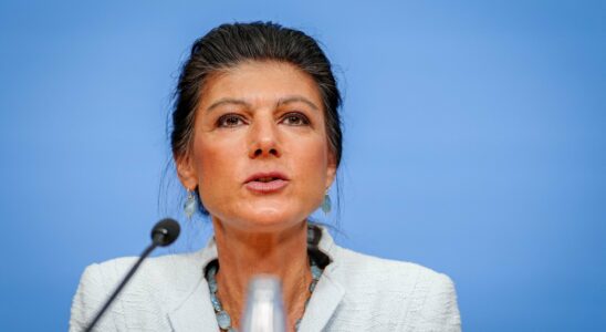 Sahra Wagenknecht synthesis of nationalism and socialism by Rainer Zitelmann