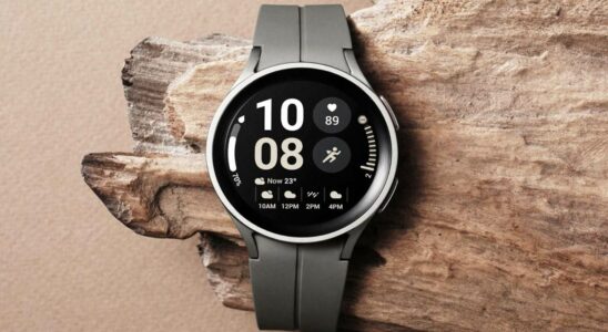 Samsung Galaxy Watch FE Revealed