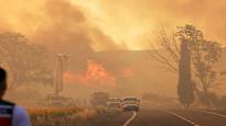 Several deaths in wildfires in Turkey the situation is predicted