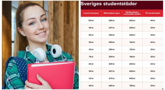 Student Here you can save SEK 1997 per month